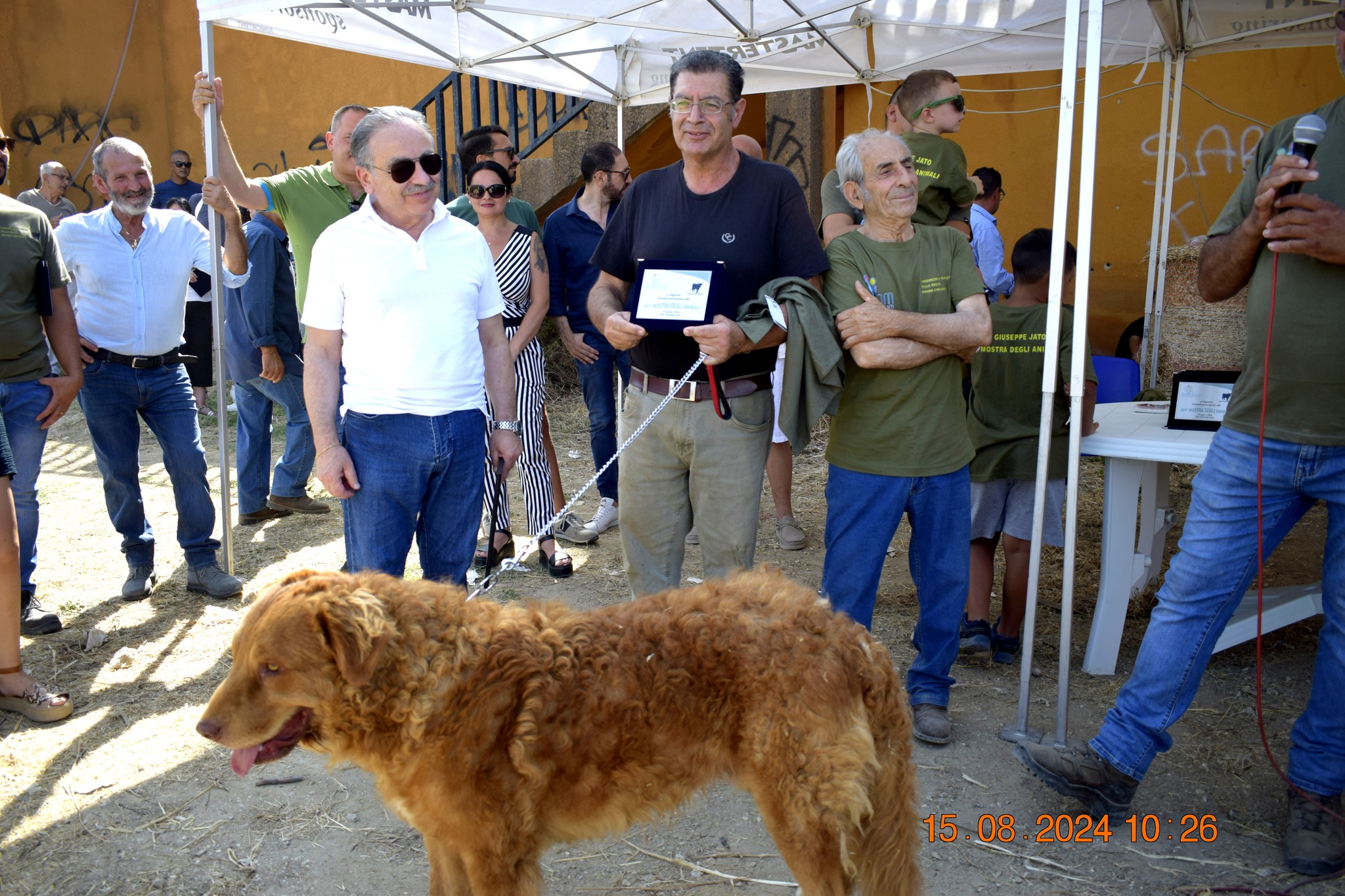 486441926 957672479899984 796681569547575409 n