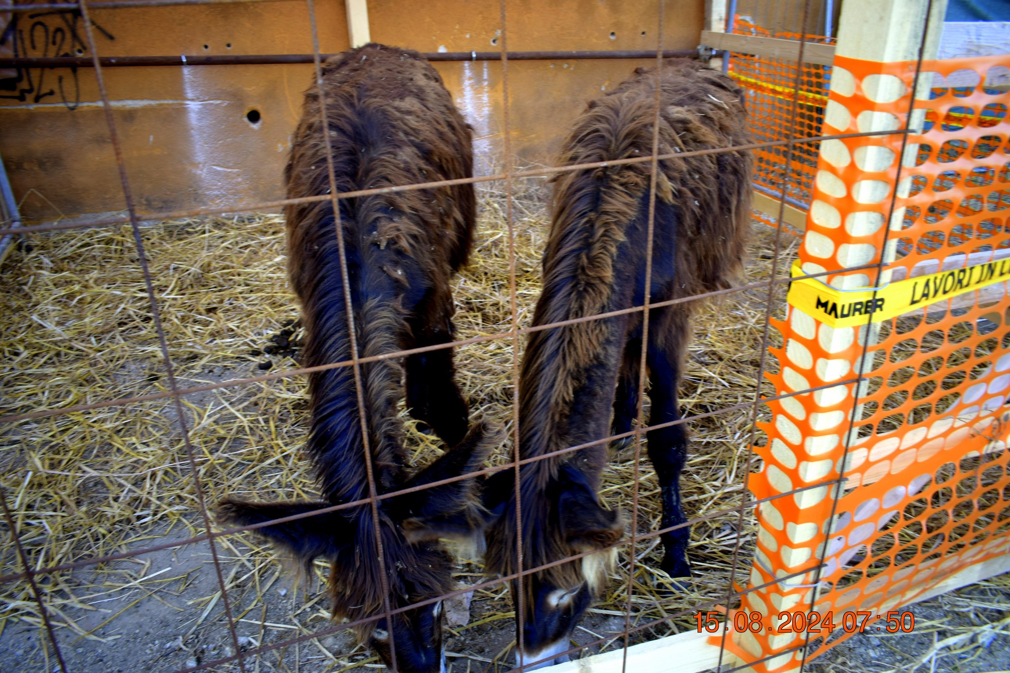 486477679 957671329900099 8010388262476109680 n