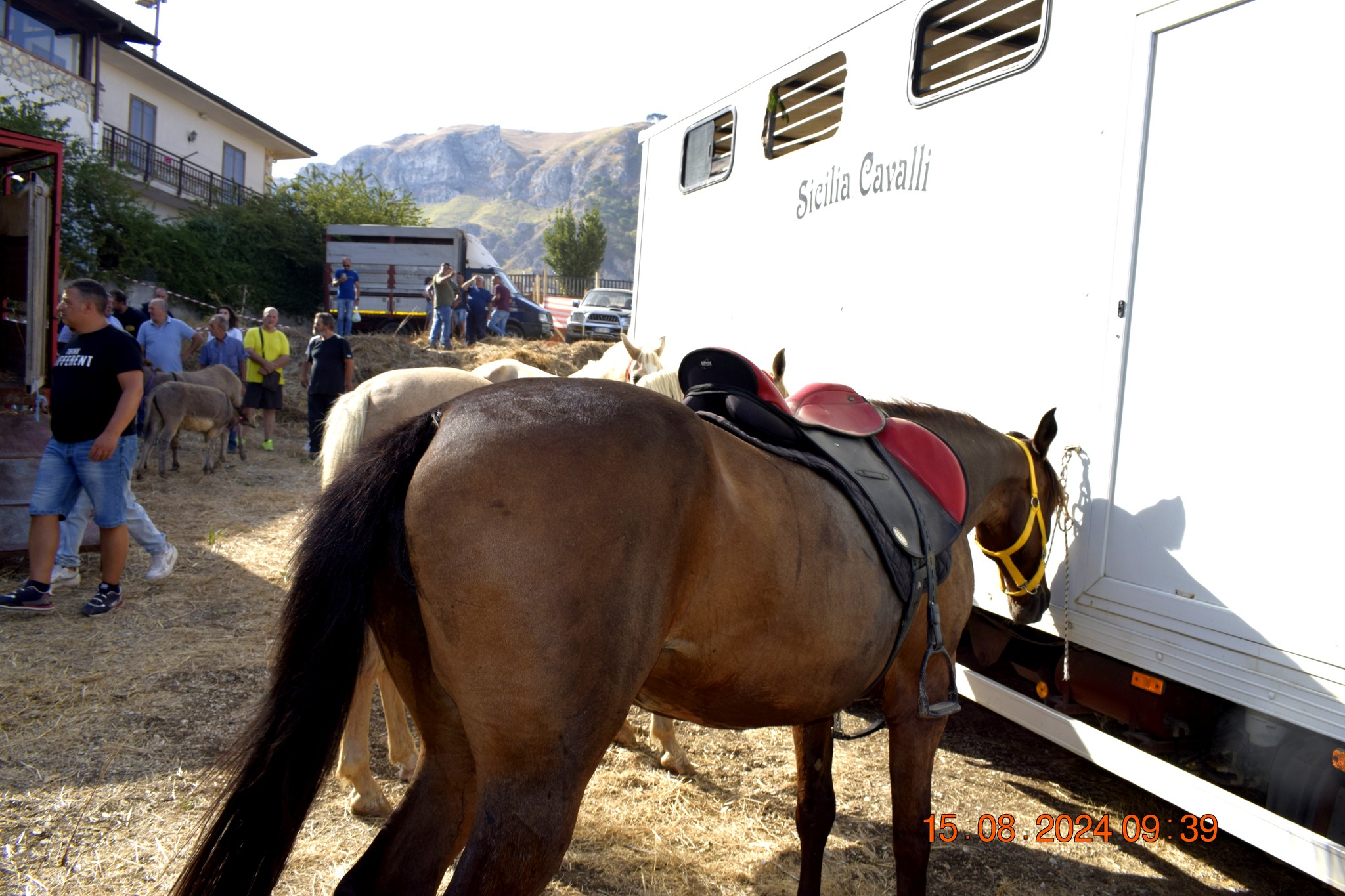 486557620 957673353233230 3930444932543659005 n