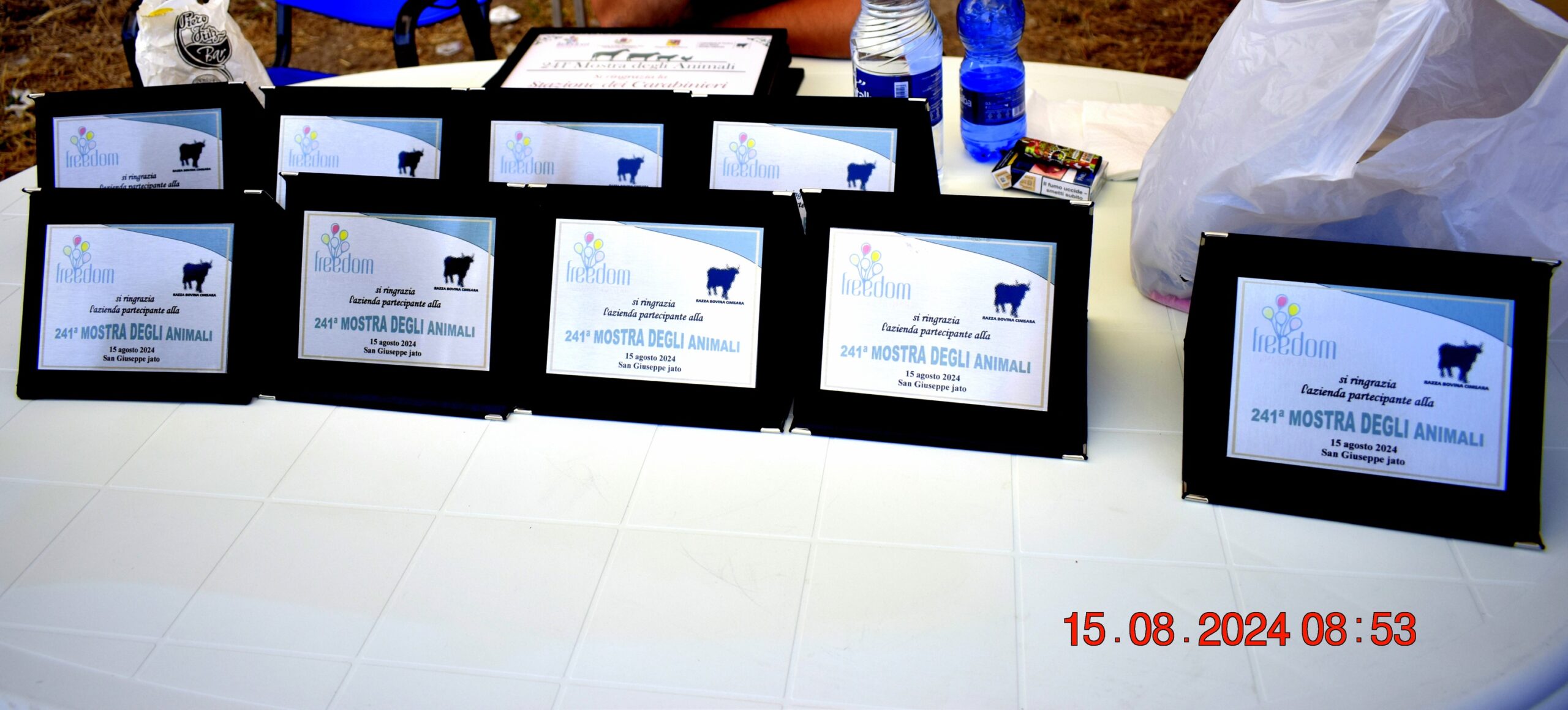 486571311 957671469900085 7693512286596514475 n