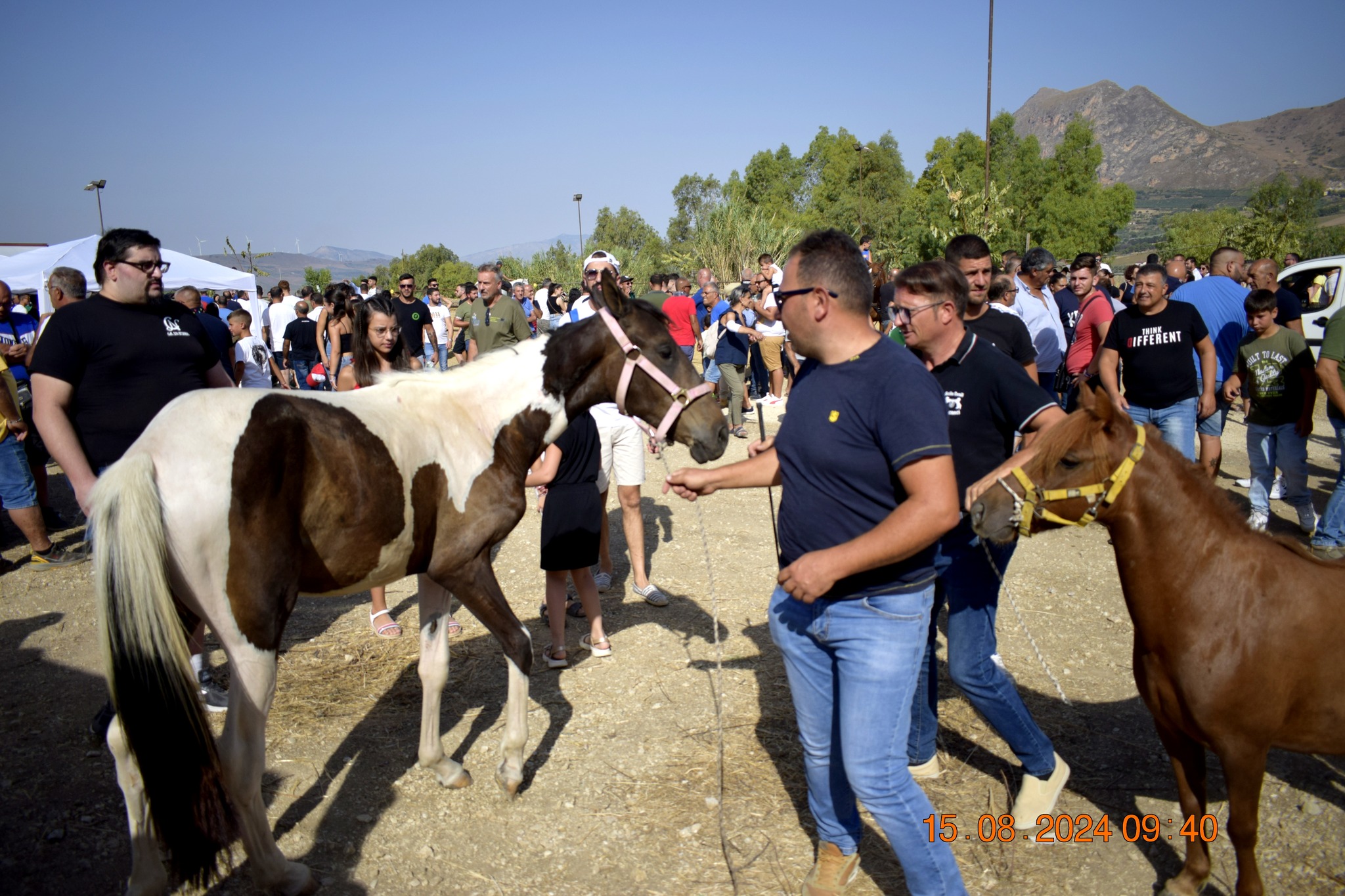 486691684 957672546566644 5769135393053284688 n