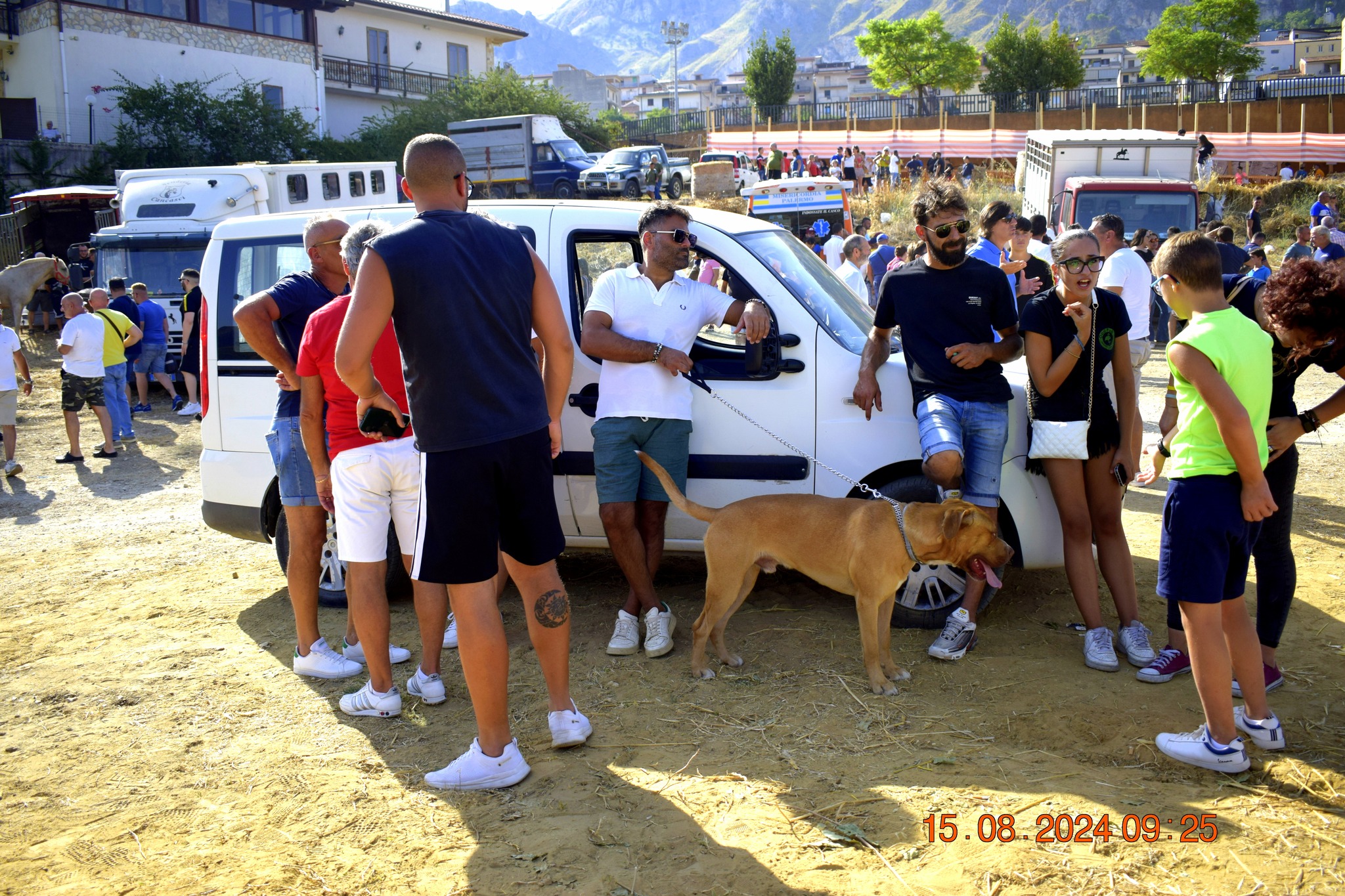 486823903 957673649899867 4789716549363986826 n