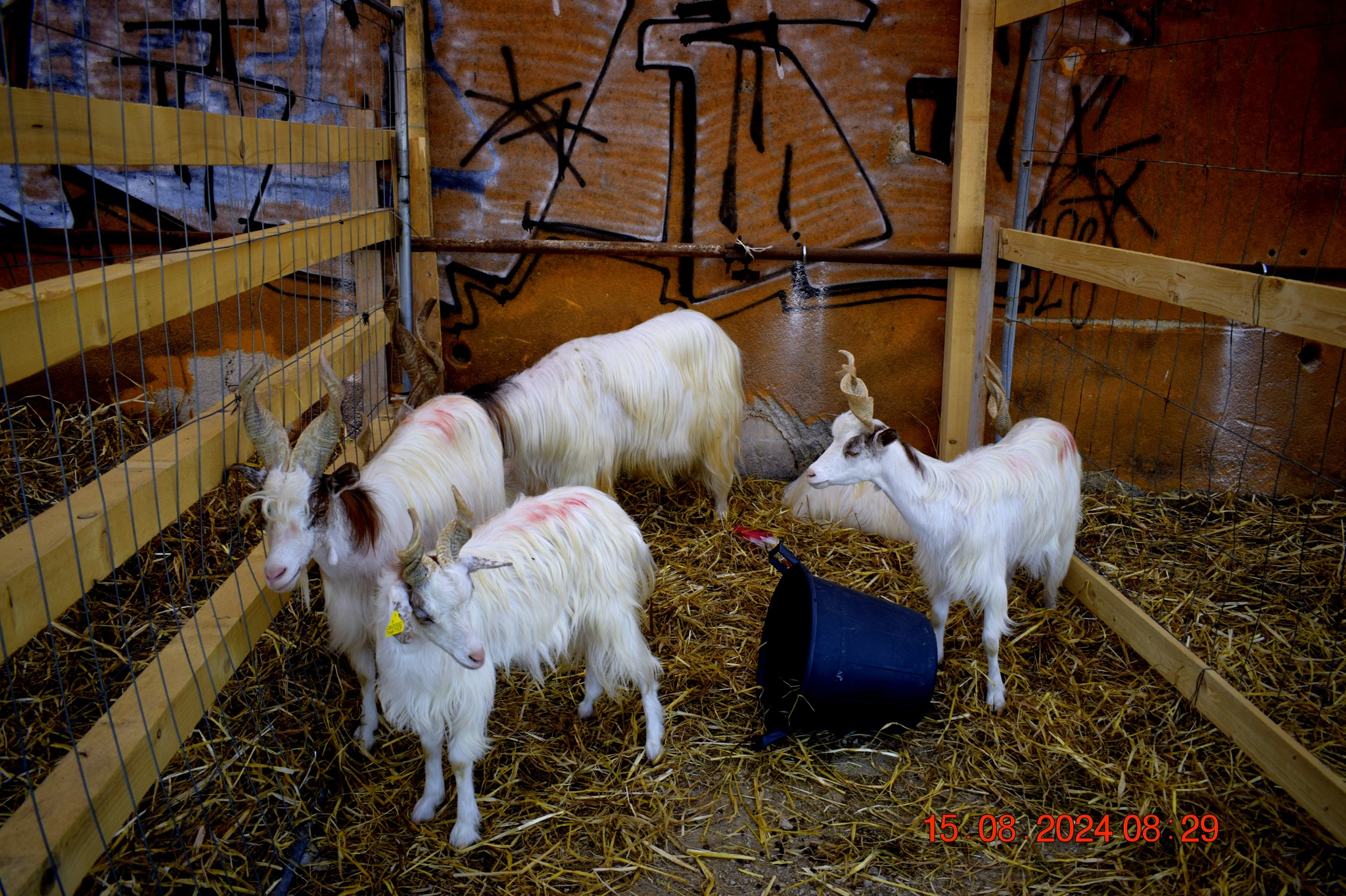 487167367 957672453233320 4723974771370959038 n