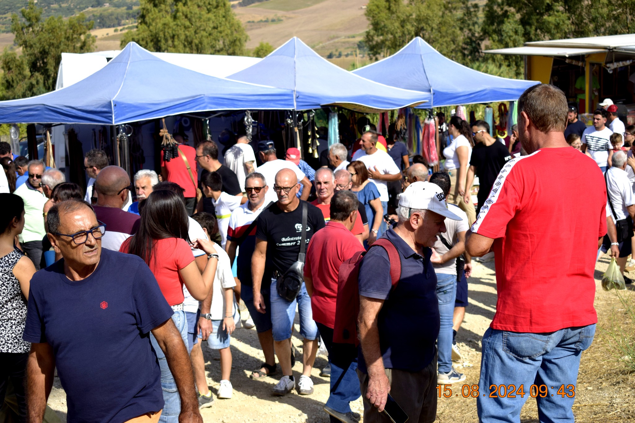 487321814 957672723233293 2023650656669205950 n