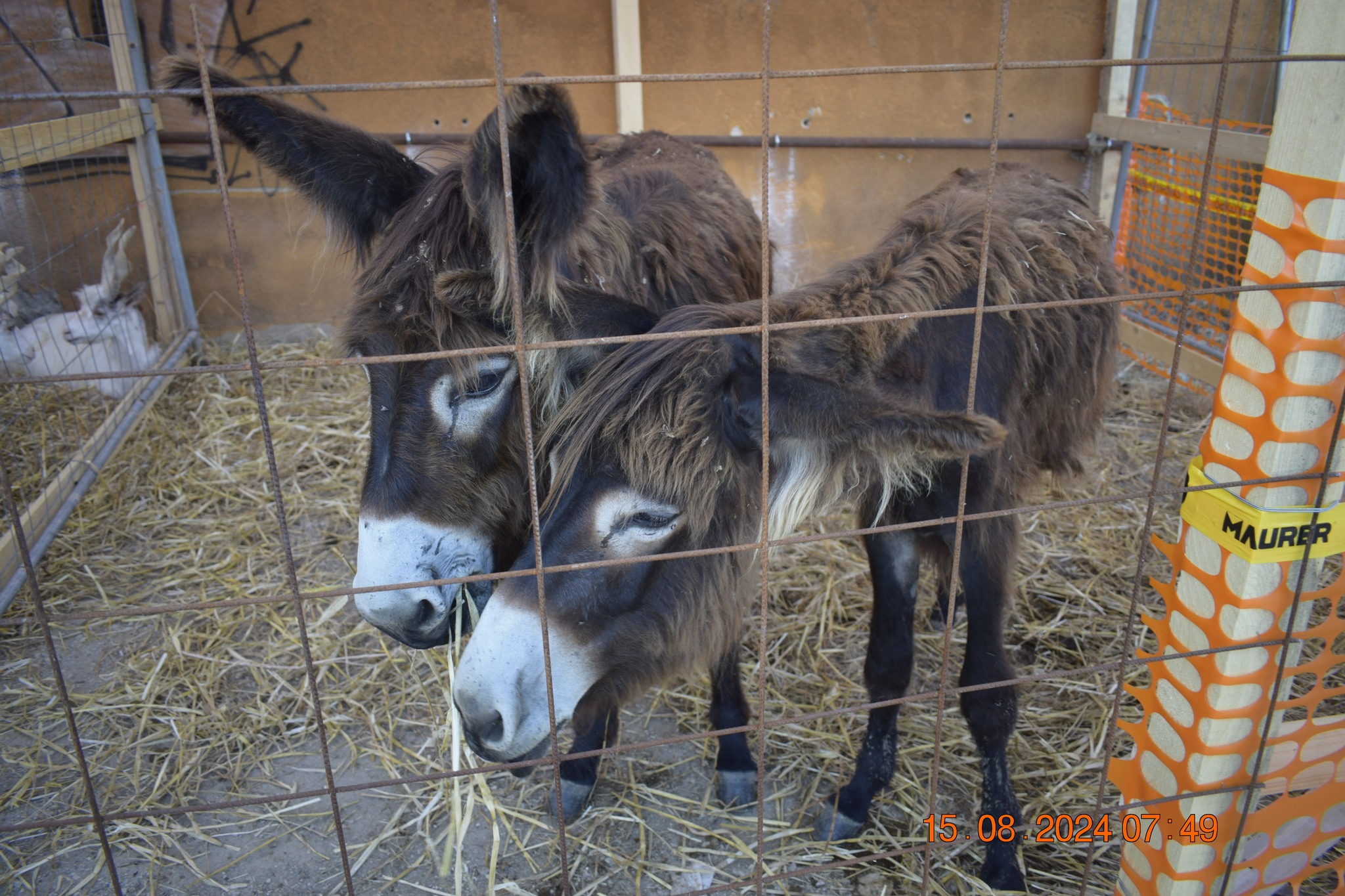 487365152 957671129900119 8440868893072646187 n