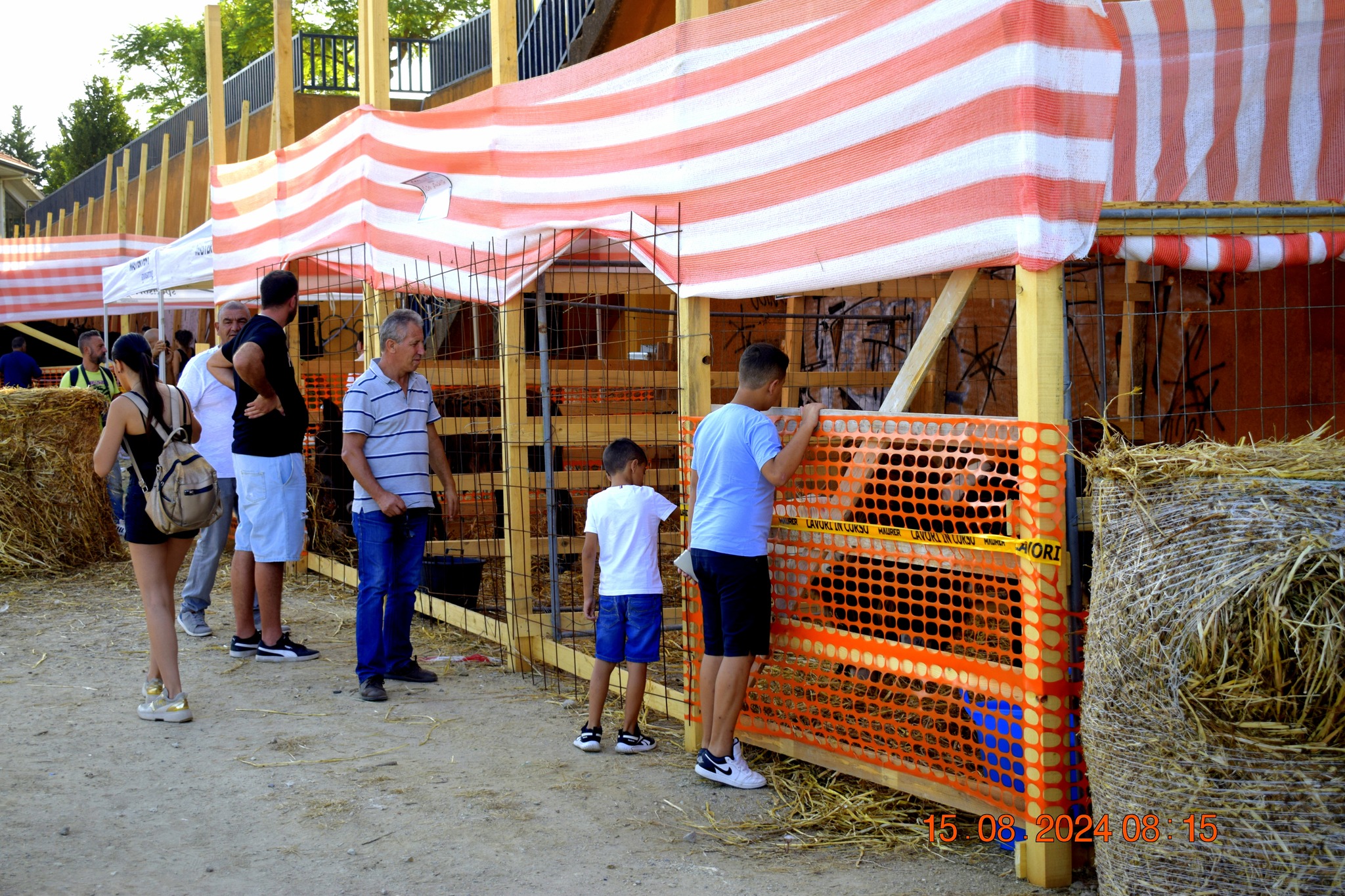 487382868 957672599899972 8602903792393475209 n