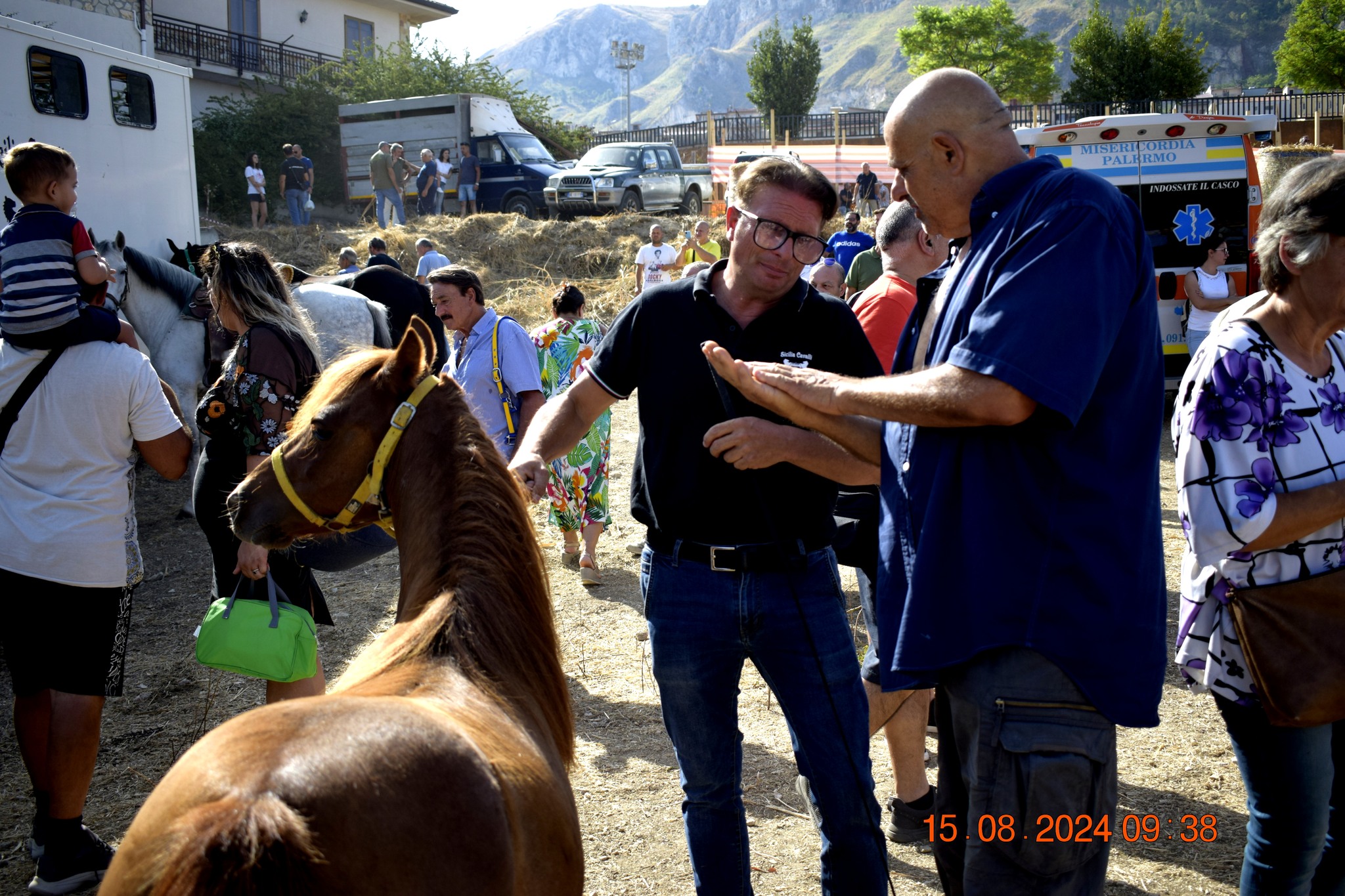 487390929 957672729899959 2869037351215761568 n