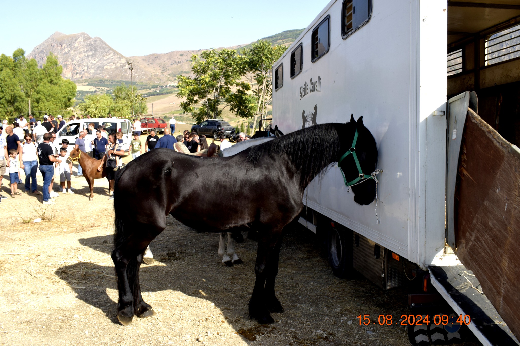 487452563 957672563233309 4150658624816913905 n