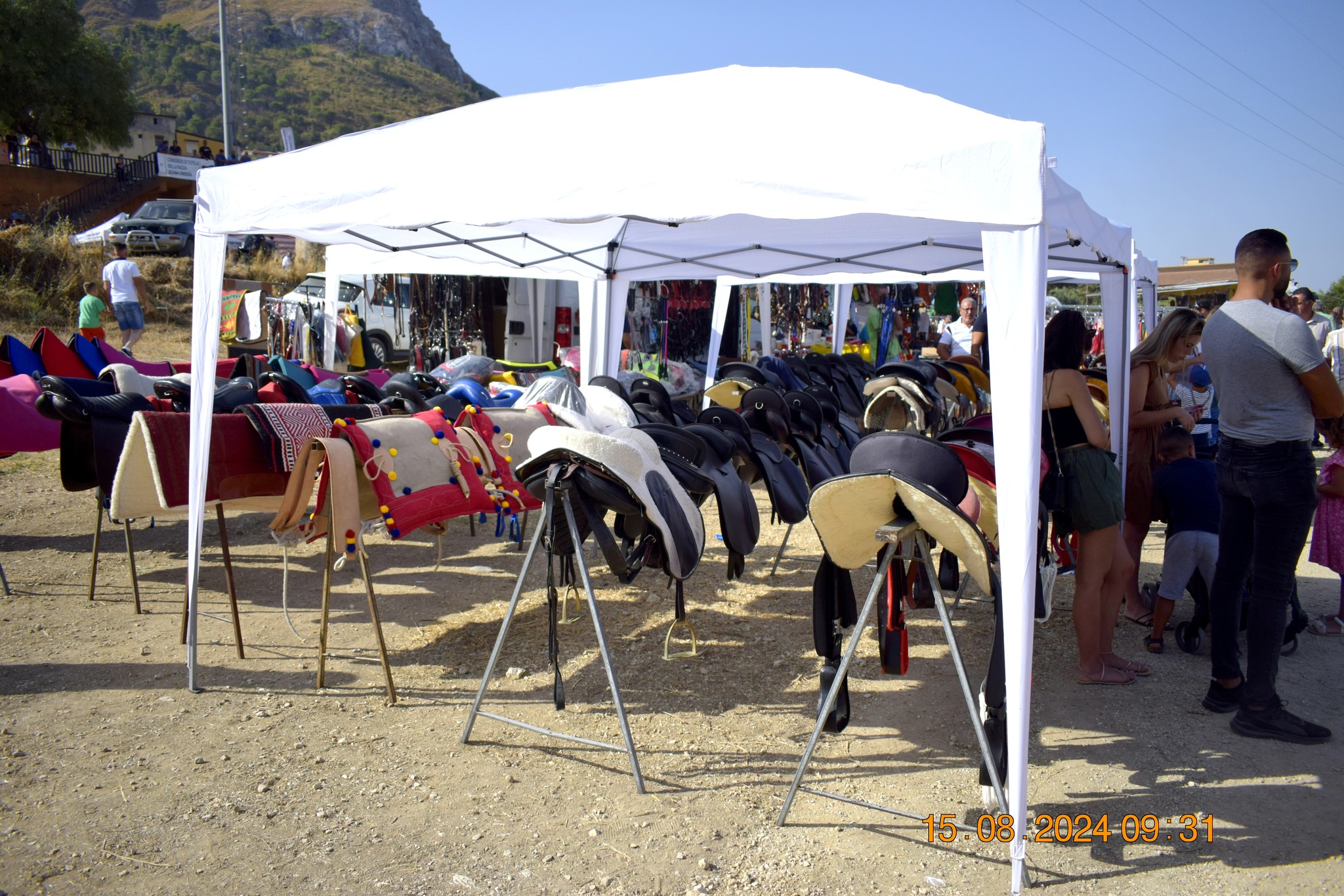 487503380 957672503233315 2827078784839464477 n