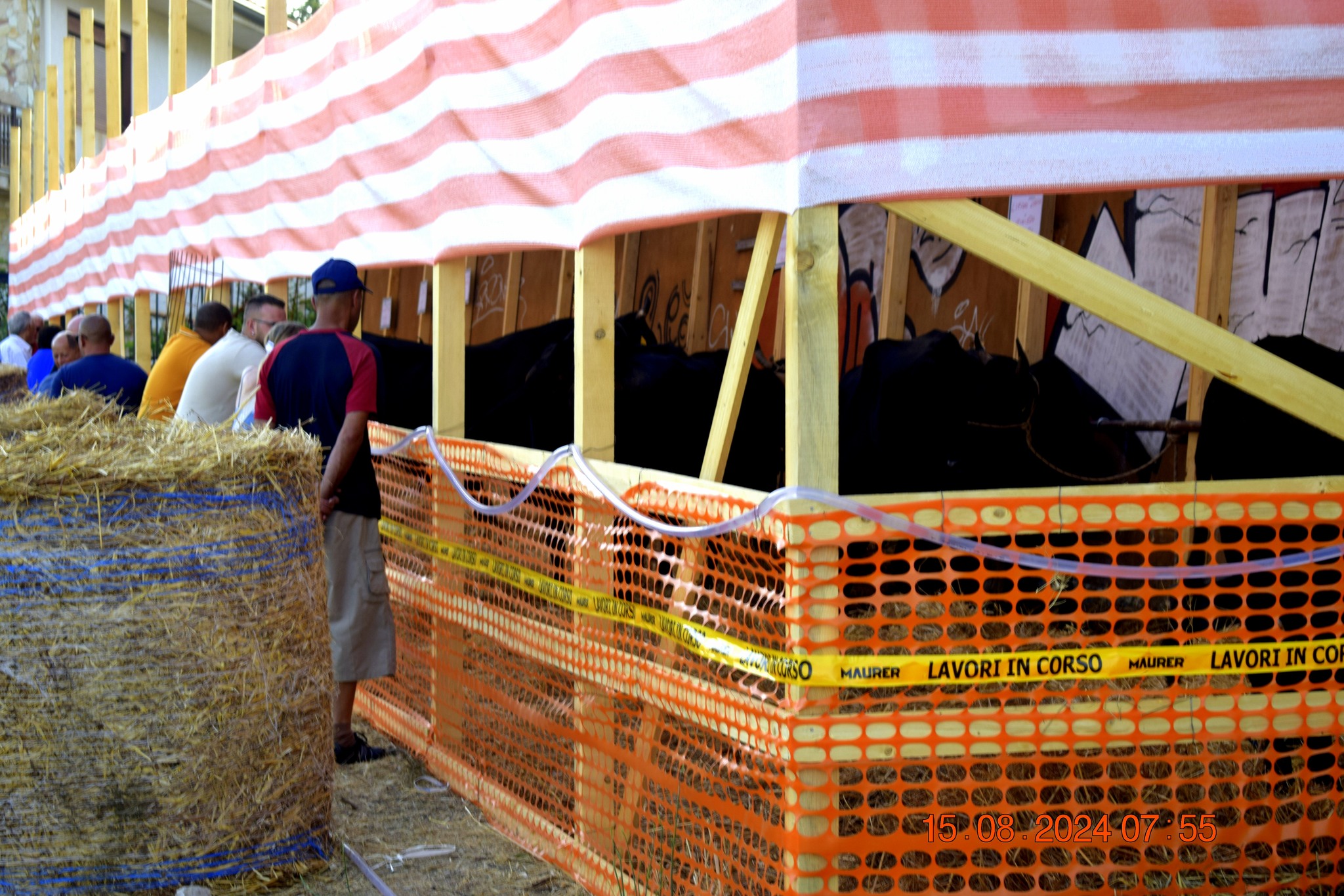 487505120 957671319900100 3741667894850933235 n