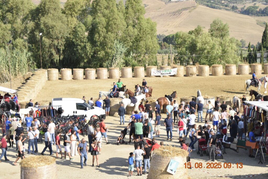 515959335 1190847093081599 7267282064576835756 n