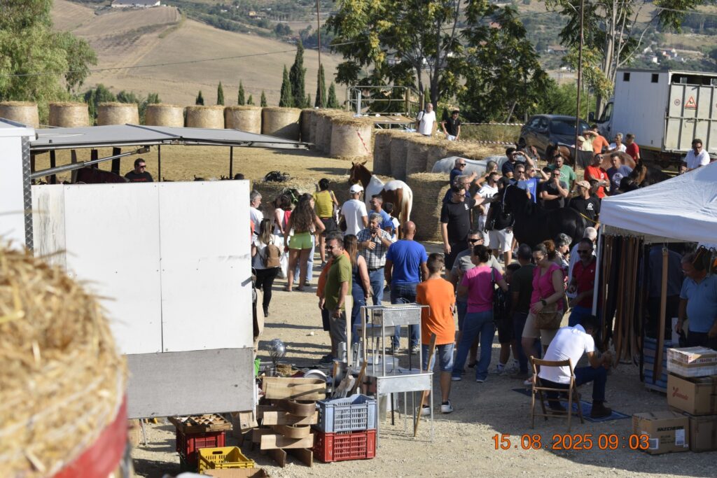 530212307 1190845923081716 6885977214164783399 n