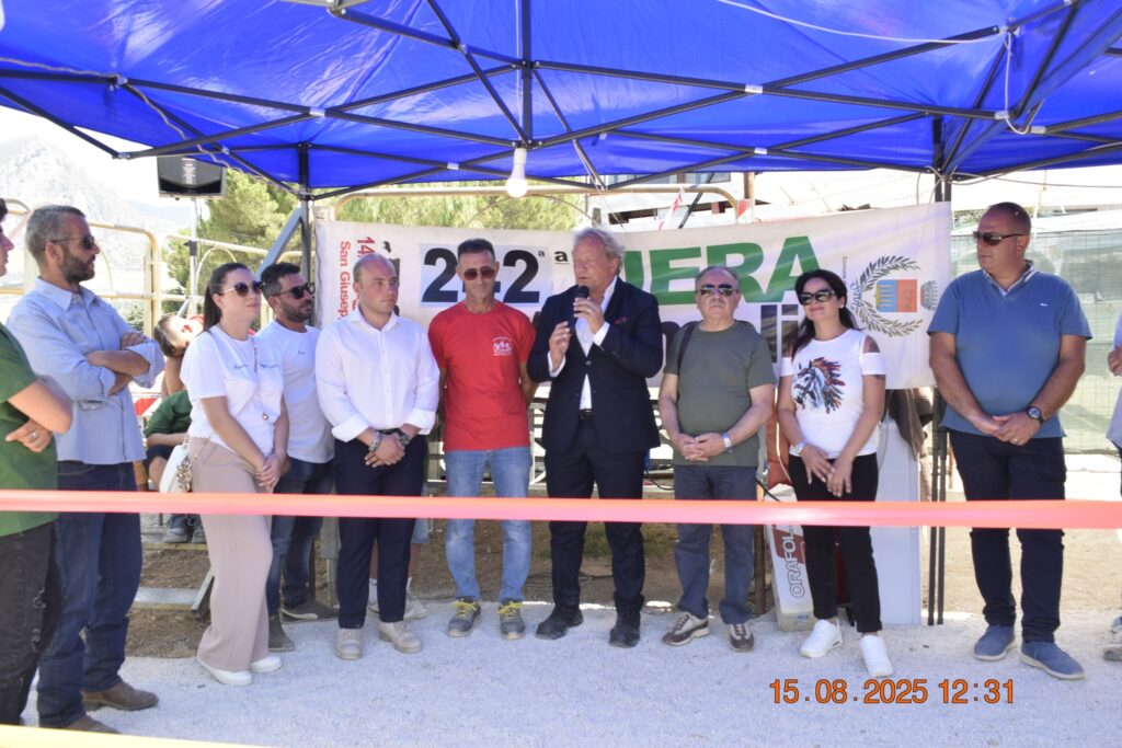 531695845 1191146316385010 2428163499365201822 n