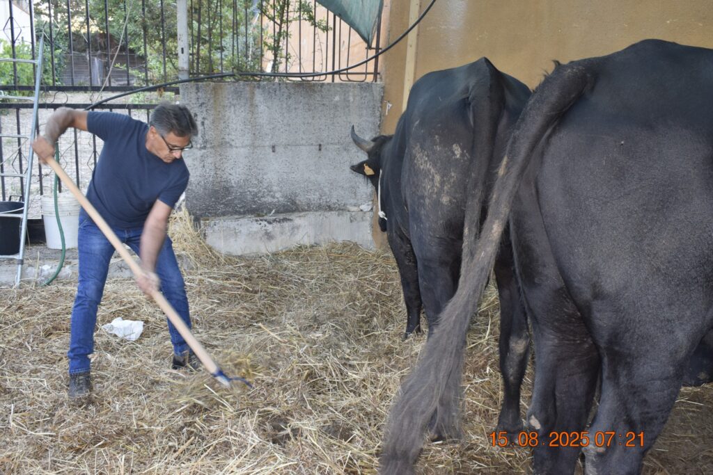 532031915 1190814353084873 7204321711805875480 n