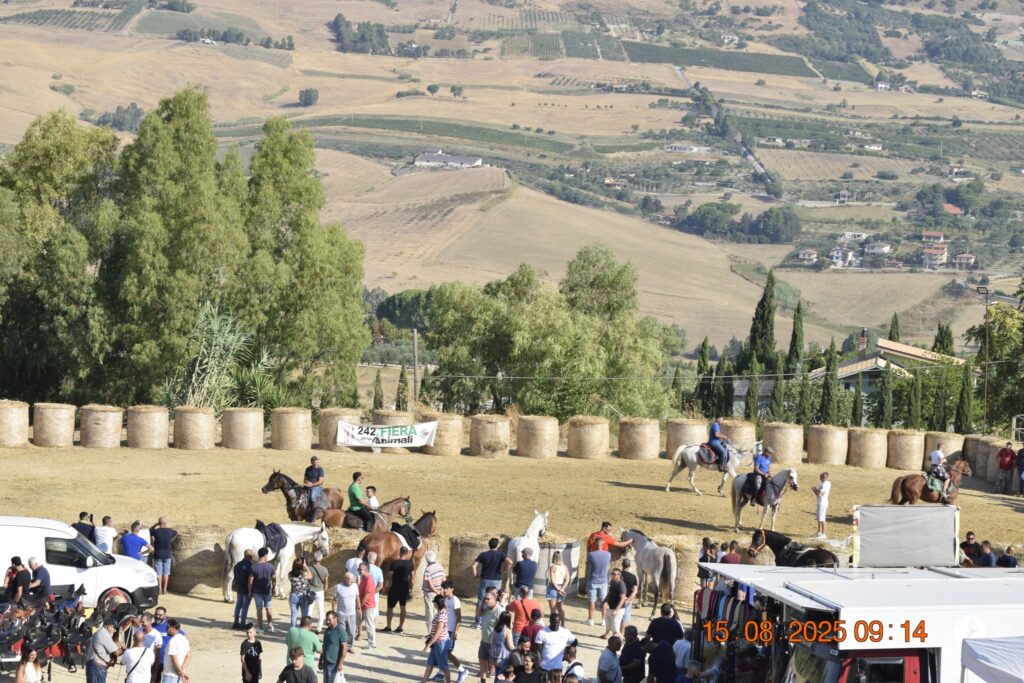 532147393 1190847126414929 5166518683363792060 n