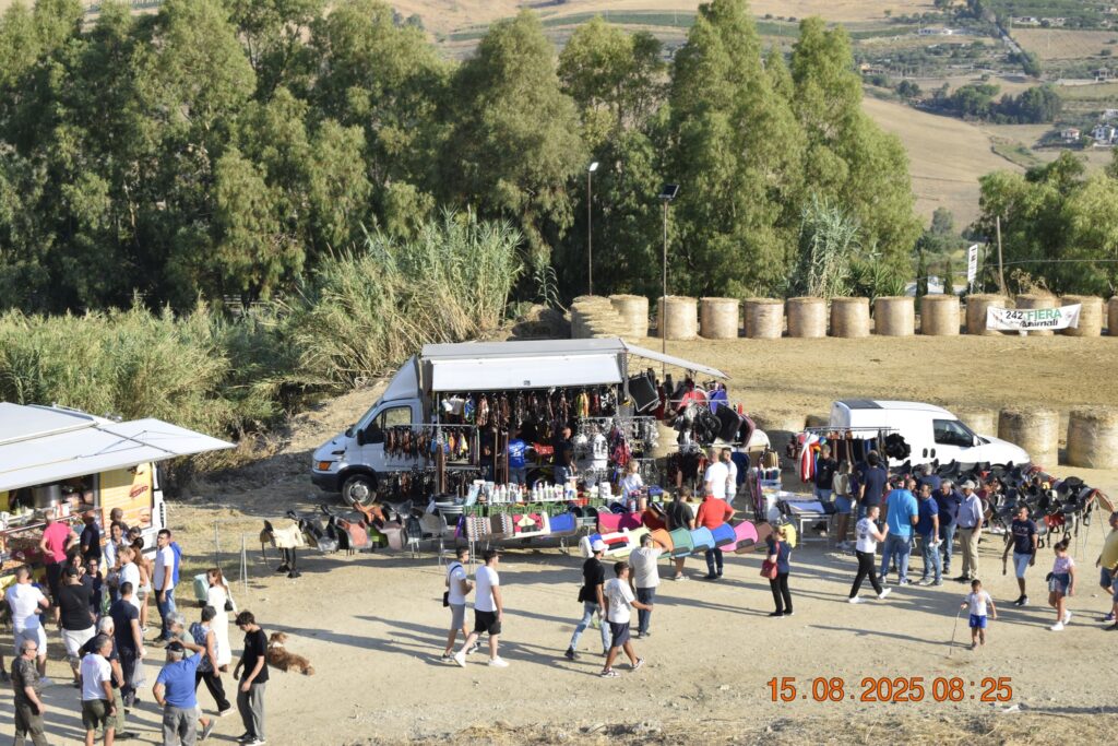 532231627 1190840209748954 701955542324709308 n