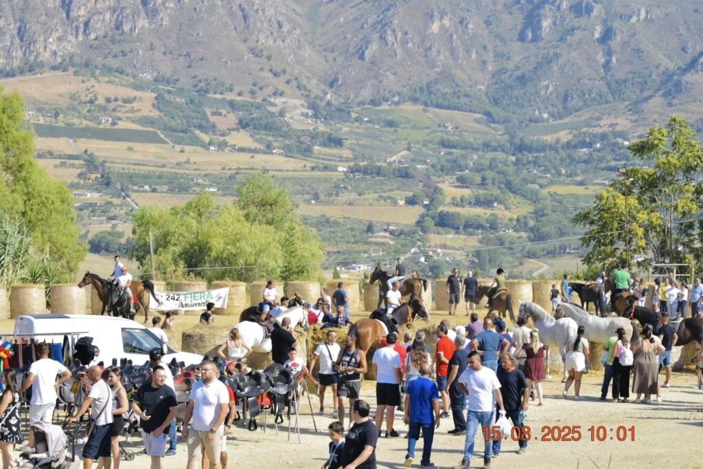 532315676 1868522513995446 1249343846392398247 n