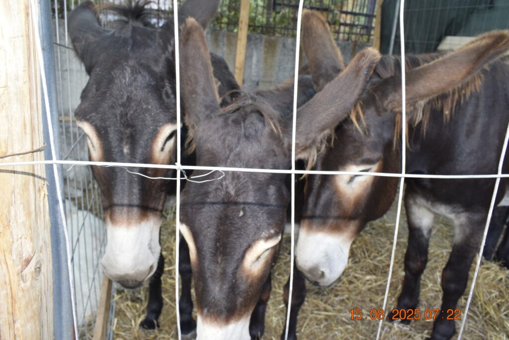 532324323 1190813183084990 1612937199497904303 n