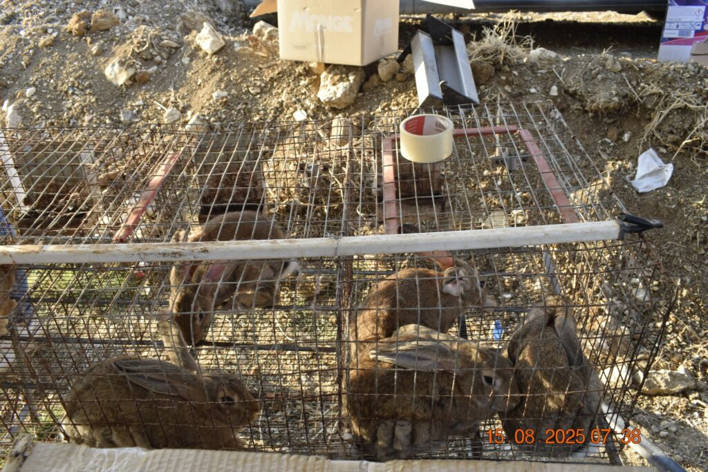 532334107 1190822243084084 8979904653439189519 n