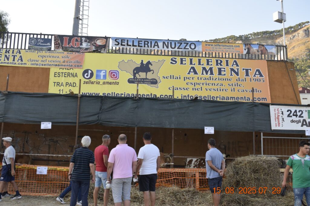 532372174 1190821669750808 3738723577655470824 n