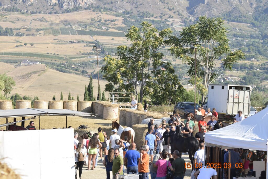 532413043 1190845736415068 2409362489199980973 n