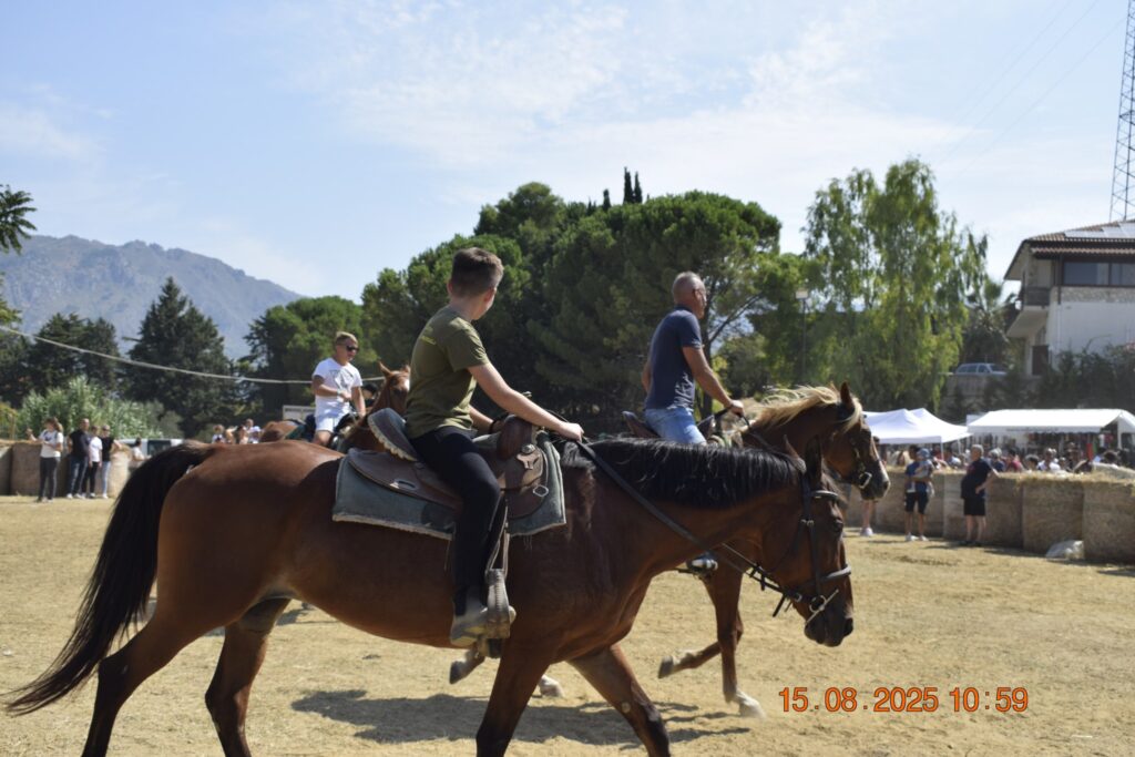 532457665 1191129066386735 5024296337229593513 n