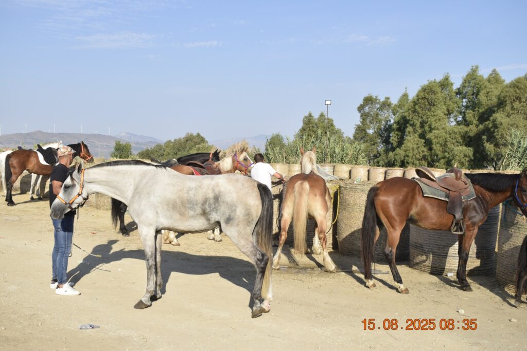 532464820 1190842629748712 4113497998321337936 n