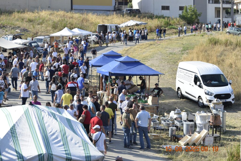 532522859 1190848126414829 2540344206590158761 n