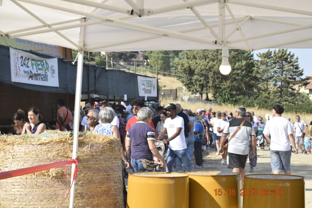 532698254 1191120216387620 349050962787145549 n