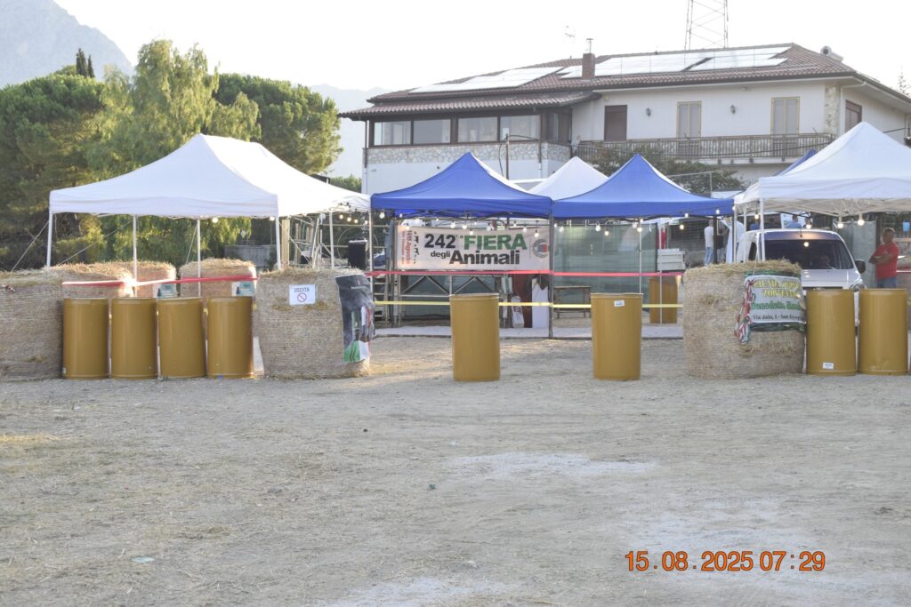 532926386 1190821889750786 295872495694491566 n