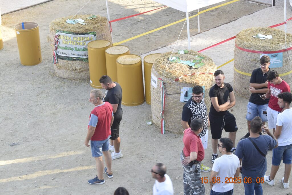 533033337 1190838949749080 171684347377922697 n