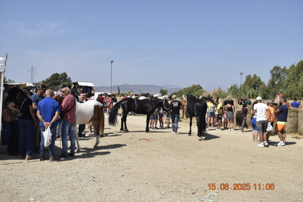 533939619 1191137679719207 1535898865012086563 n