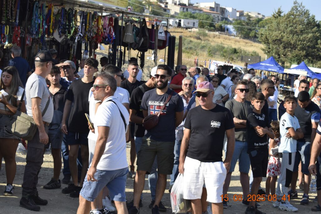 534126225 1190844796415162 6417530655366178302 n