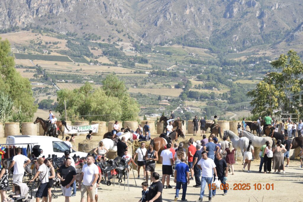 534193036 1191123349720640 1780628159811523319 n