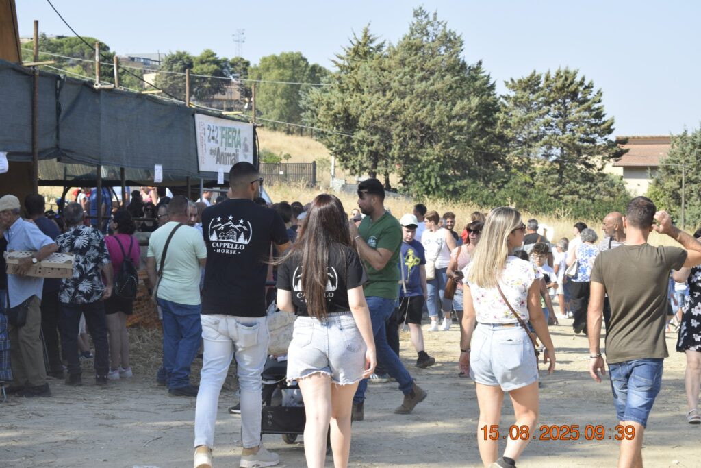 534210293 1191120409720934 269304243594390445 n