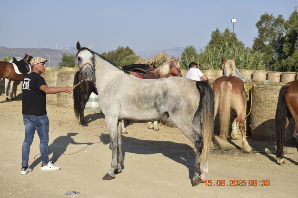 534279754 1190842533082055 8688600208036202976 n