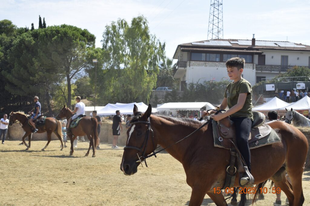 534291029 1191129479720027 1812157323023297784 n