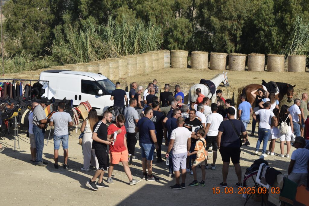 534394441 1190846019748373 7599365938413037238 n