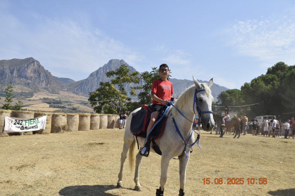 534500360 1191126549720320 3485280673962614654 n