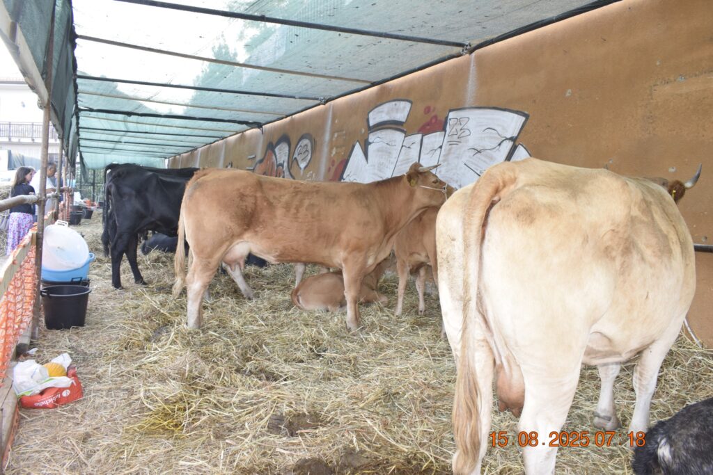 534513485 1190809833085325 2142751529905085545 n