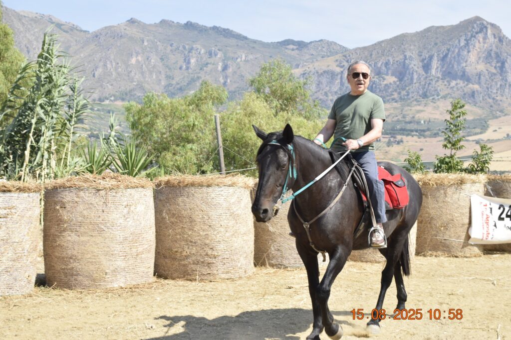 534559032 1191129853053323 6584452947682109896 n