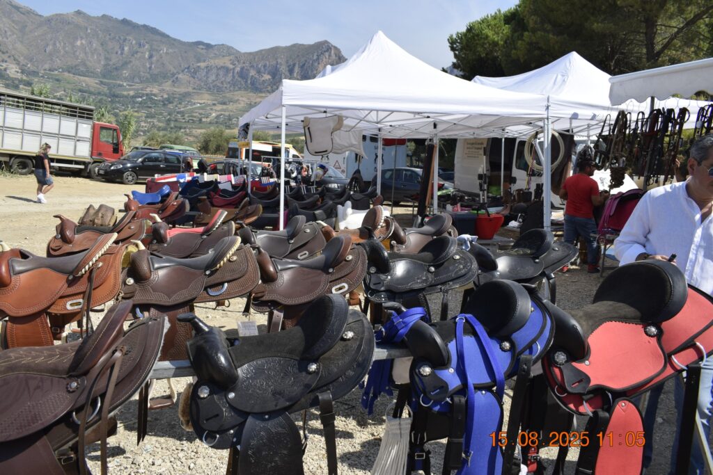 534602652 1191137689719206 4092383981096755027 n