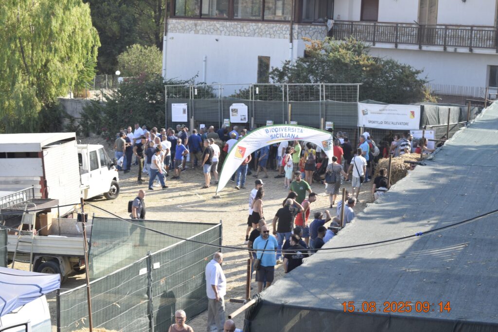 534935141 1190847046414937 4743226127450801112 n