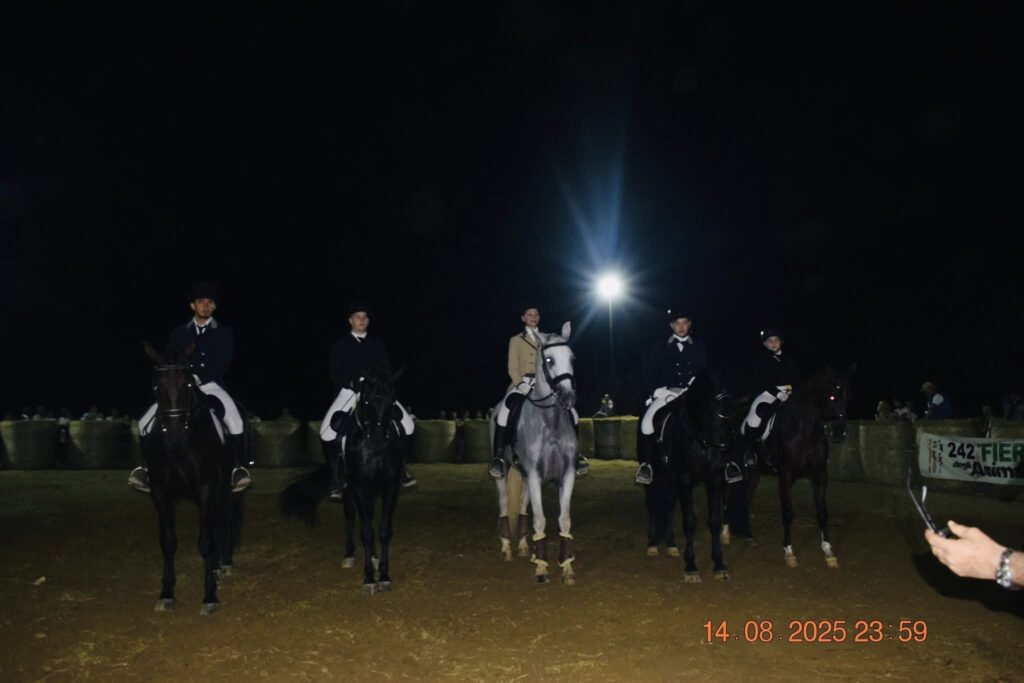 535110327 1868522313995466 426169730897309196 n